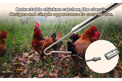 Streamlining Poultry Handling: The Role of the Chicken Catcher Leg Hook