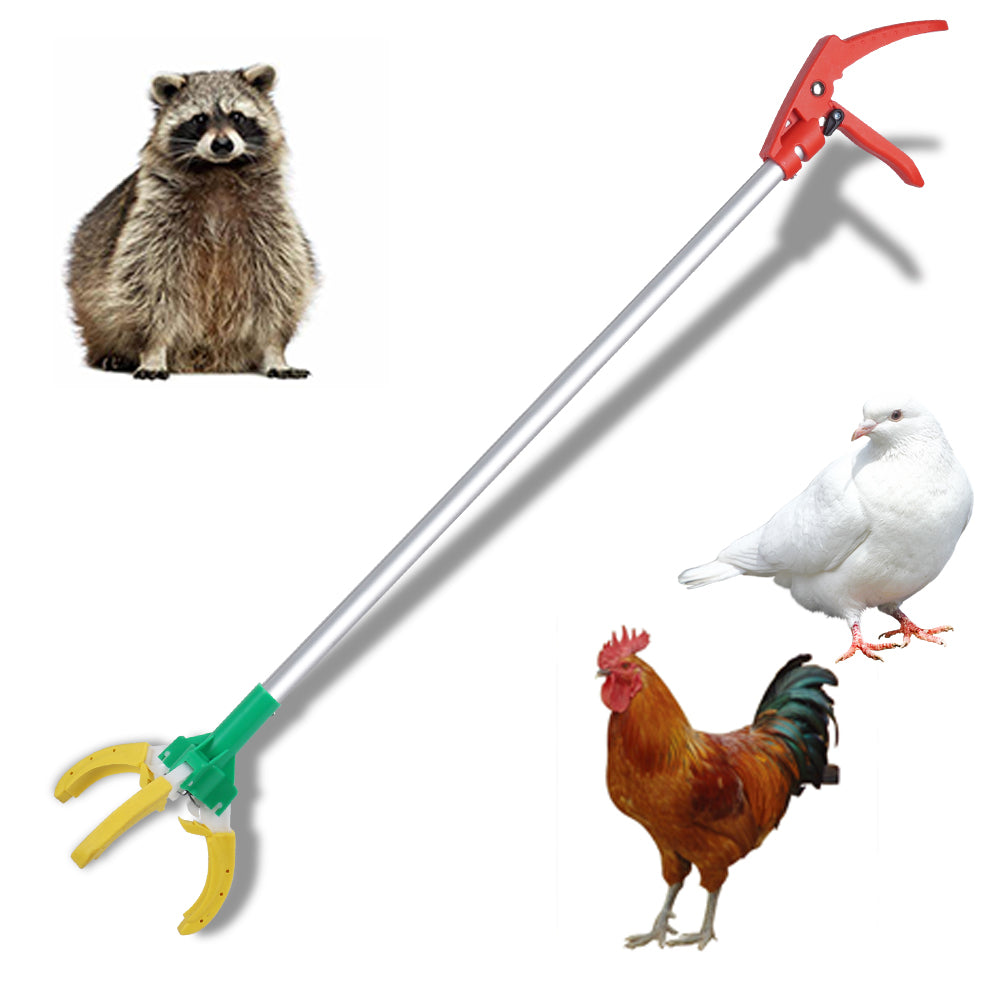 Animal control catcher pole tool designed for capturing small animals like dogs, cats, raccoons, possums, skunks, birds, chickens, pigeons, and other small animals.