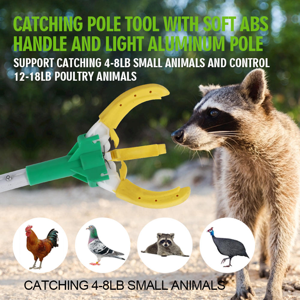 Animal control catcher pole tool designed for capturing small animals like dogs, cats, raccoons, possums, skunks, birds, chickens, pigeons, and other small animals.