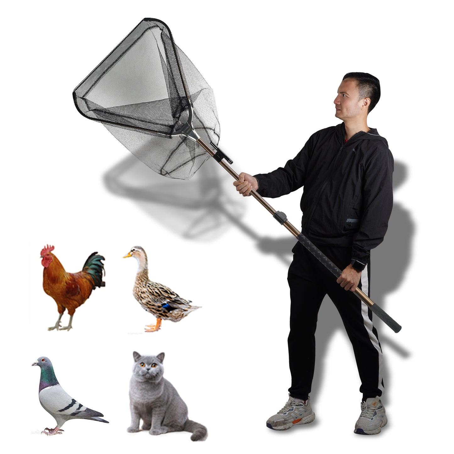 Animal Catch Net, Poultry Catching Control Pole, Farm Trap Tools Capture for Bird Cat Chicken Bat Duck Goose Raccoon Crow Skunks Squirrels Feral Trap Catcher Net