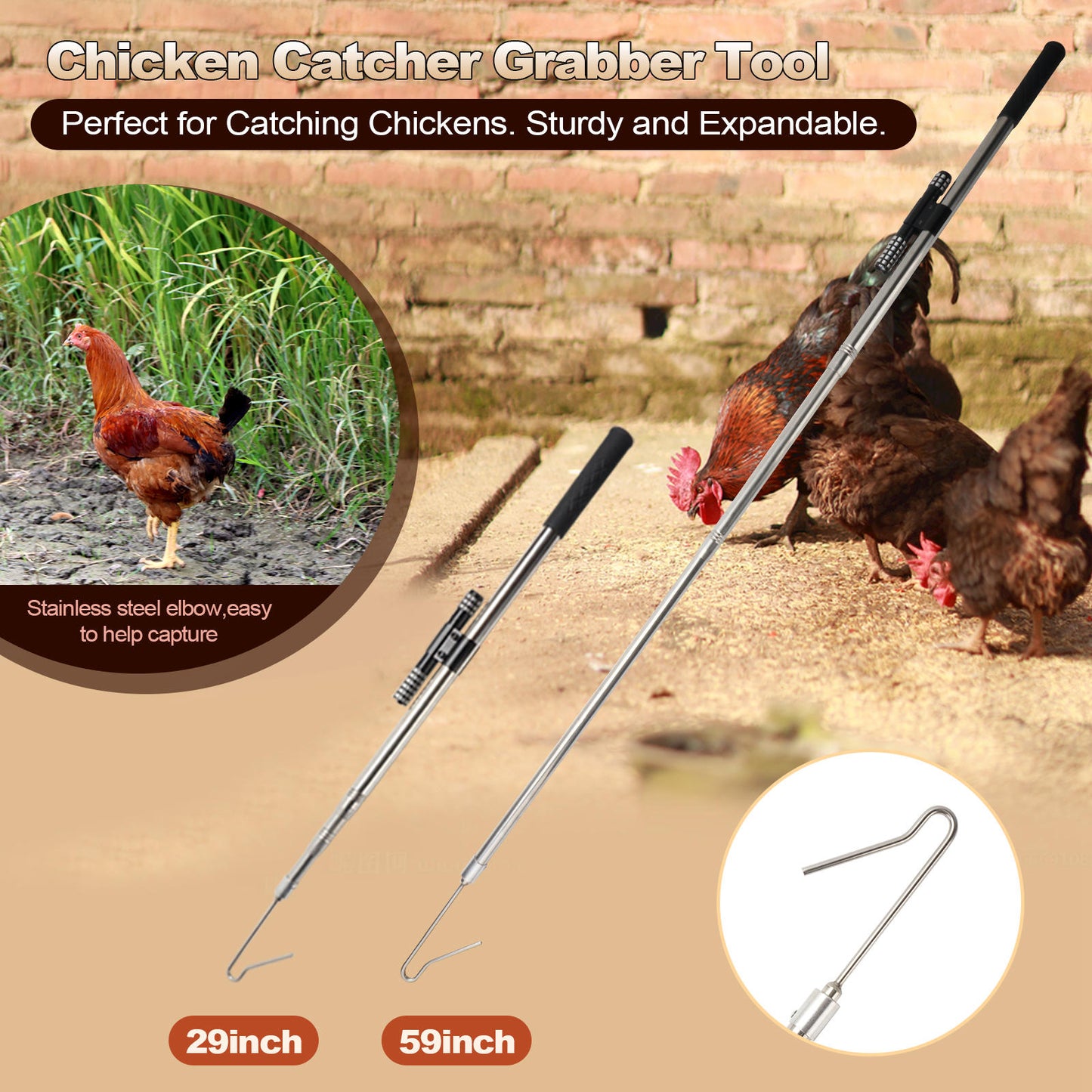 Poultry leg hook pole, a farm tool designed for catching chickens, turkeys, geese, ducks, and various fowl birds