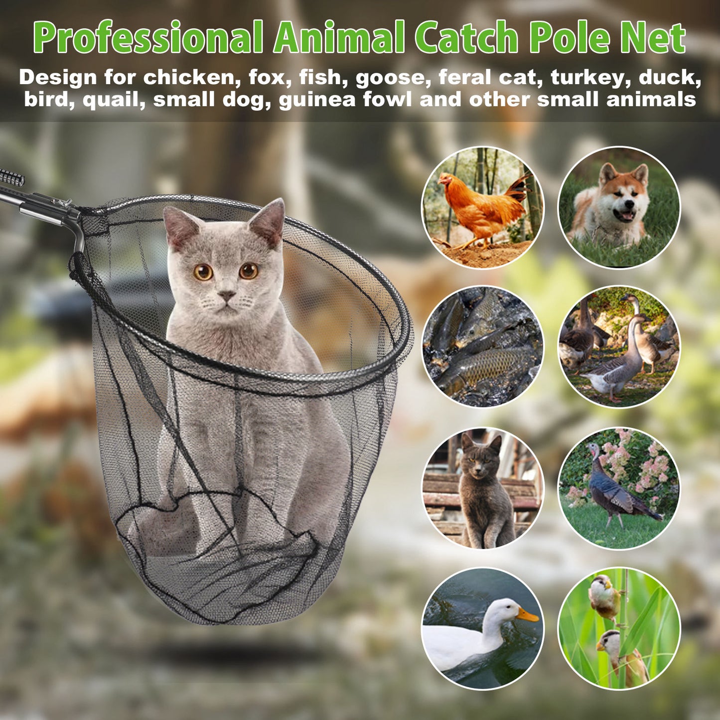 Animal Catcher Net Poultry Catching Trap Tool for Dog, Chicken, Feral Cat, Duck, Goose, Bird, Skunk, Bat, Fox, Raccoon, Guinea Fowl, Pigeon, Tuna, Monkey and Small Animals