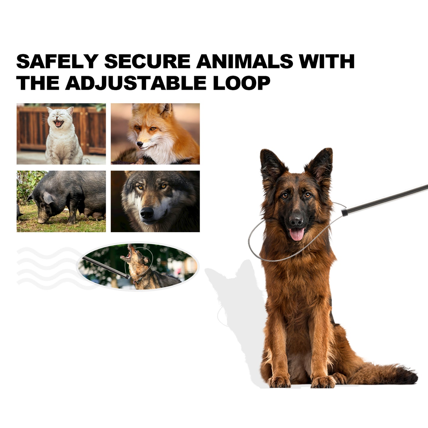 60"-92" Animal Catch Pole Wildlife Control Tool Noose Holder Net Kit for Dogs Feral Cat Raccoons Hog Pig Fox Coyote Bulldog Wolf Goat Lizards Boar Bichon Calf Piglet Gator