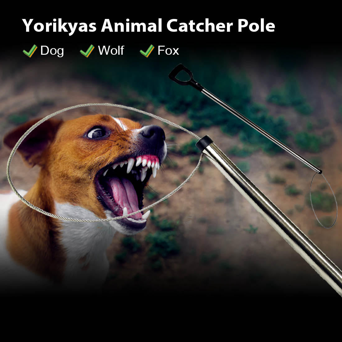 Animal Catch Pole | Animal Control Pole – Smarkey