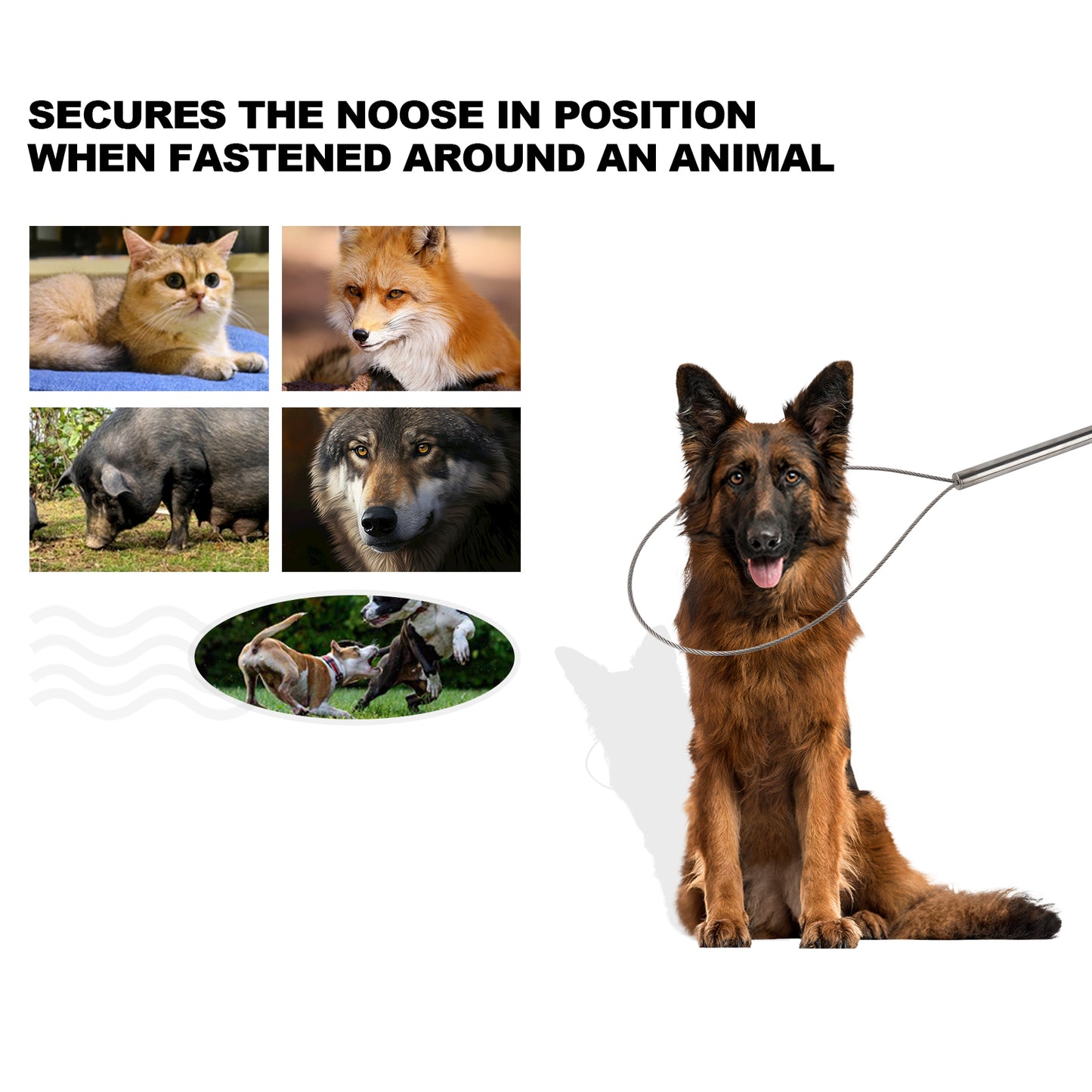 Animal Control Pole Dog Catch Rod Noose Holder Tool for Medium Large Wildlife Handling Dogs Feral Cat Raccoons Hog Pig Fox Coyote Bulldog Wolf Goat