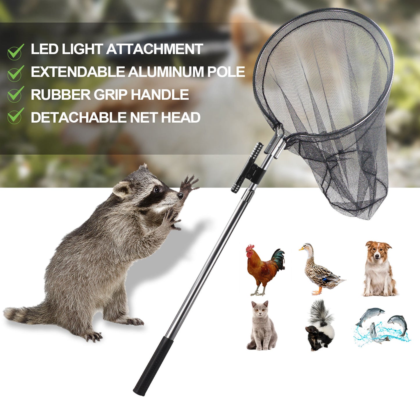 Animal Catcher Net Poultry Catching Trap Tool for Dog, Chicken, Feral Cat, Duck, Goose, Bird, Skunk, Bat, Fox, Raccoon, Guinea Fowl, Pigeon, Tuna, Monkey and Small Animals