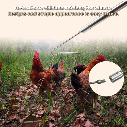 Poultry leg hook pole, a farm tool designed for catching chickens, turkeys, geese, ducks, and various fowl birds