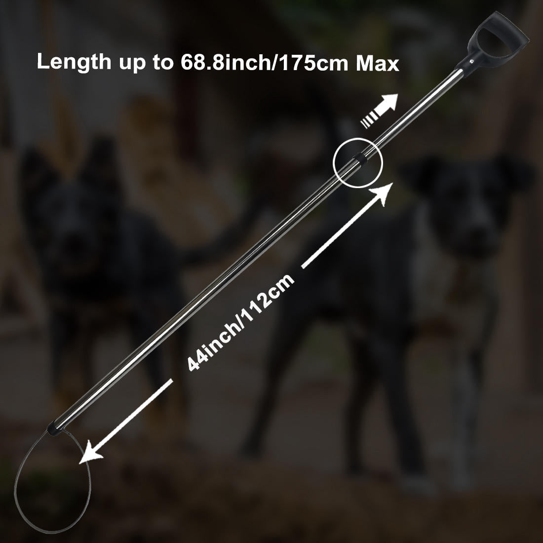 Animal Catch Pole Control Tool Kit is tailored for controlling hogs, dogs, pigs, and foxes. 44 inches for effective handling and control.